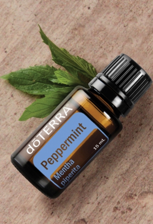 Pepprmint.jpg