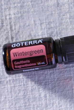 Wintergreen.jpg