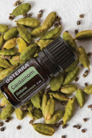 Cardamom.jpg