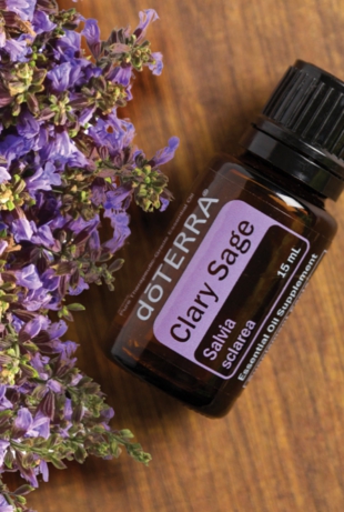 Clary-sage.jpg