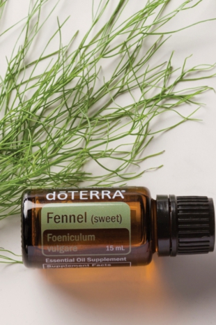 Fennel.jpg