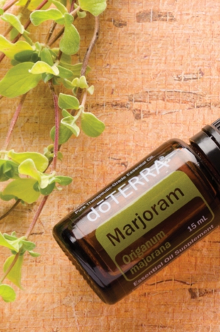 Marjoram.jpg